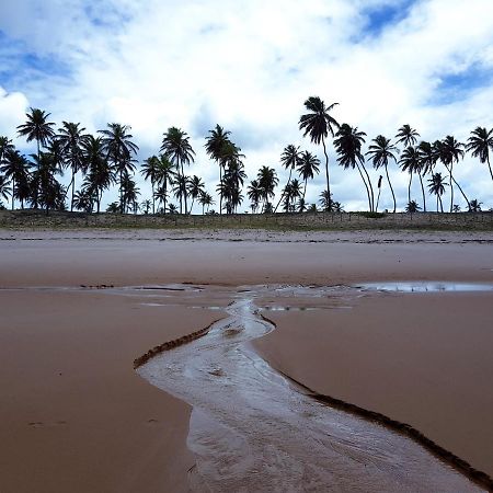 Rosagash Paradise - Praia De Santo Antonio Mata de Sao Joao Exterior foto