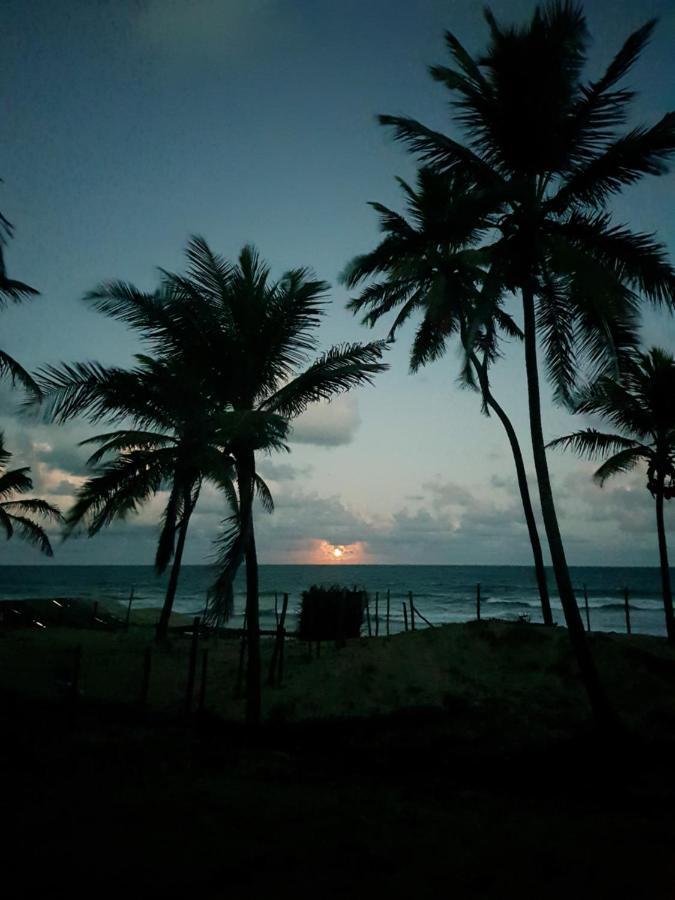 Rosagash Paradise - Praia De Santo Antonio Mata de Sao Joao Exterior foto